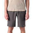 Patagonia Terrebonne Shorts men's