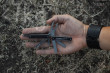 Multifunkční kleště Leatherman Squirt PS4