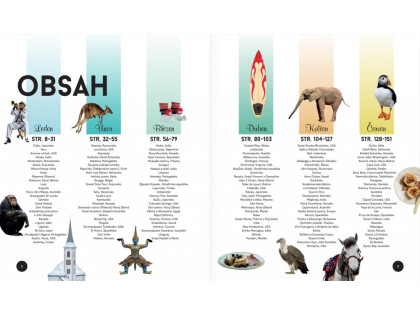 Kniha Kam cestovat a kdy Lonely Planet