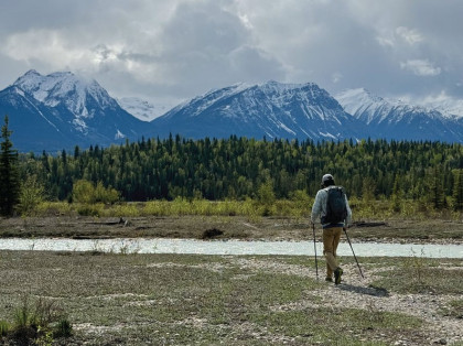 Durston Iceline Trekking Poles