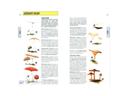 SAS - příručka jak přežít - John Wiseman