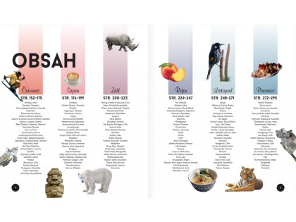 Kniha Kam cestovat a kdy Lonely Planet