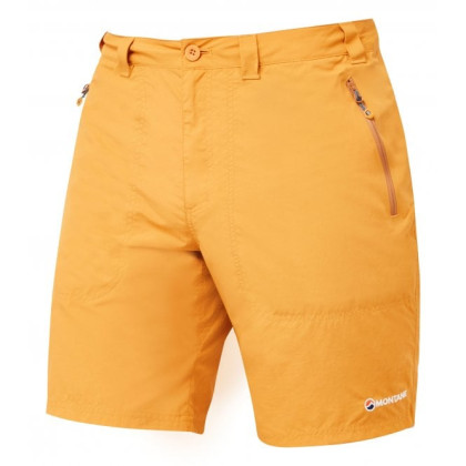 Montane Terra Shorts Men's Size: L 