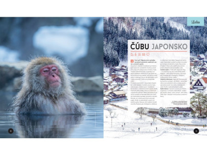 Kniha Kam cestovat a kdy Lonely Planet