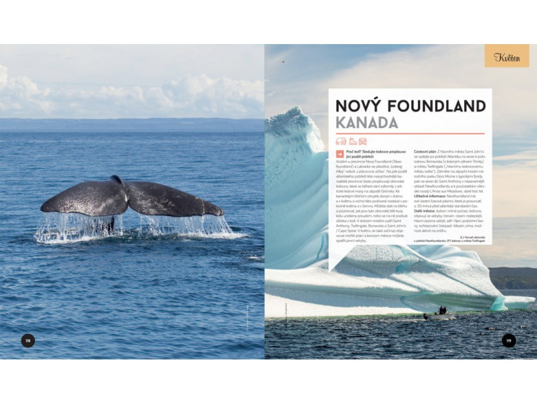 Kniha Kam cestovat a kdy Lonely Planet