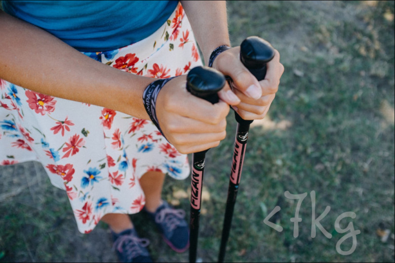 Fizan Compact 4 Trekking Poles