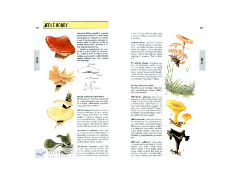 SAS - příručka jak přežít - John Wiseman