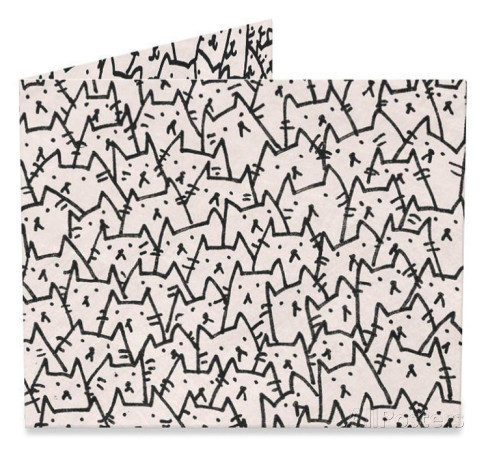 Peněženka Mighty Wallet