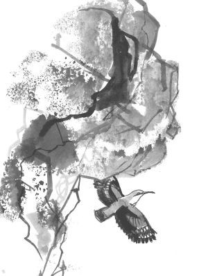 Karpatské hry - Miloslav Nevrlý